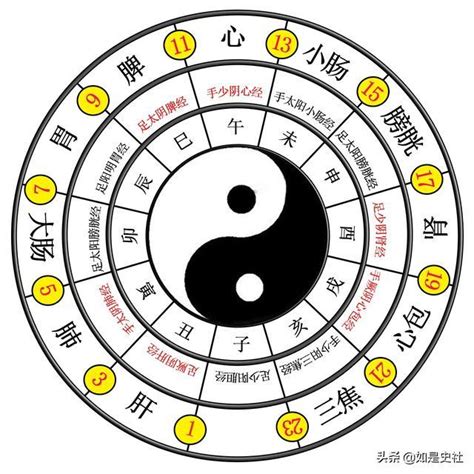 太極生兩儀兩儀生四象四象生八卦意思|一分鐘看懂《易經》「太極生兩儀，兩儀生四象」